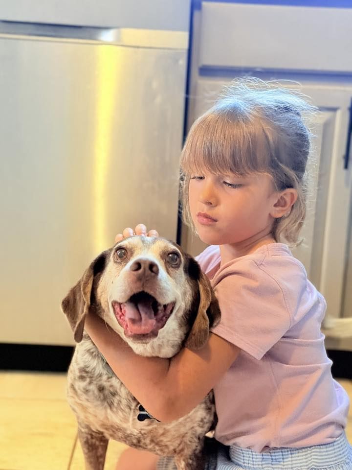 Child hugging a smiling dog inside the Devoted Dog Care home